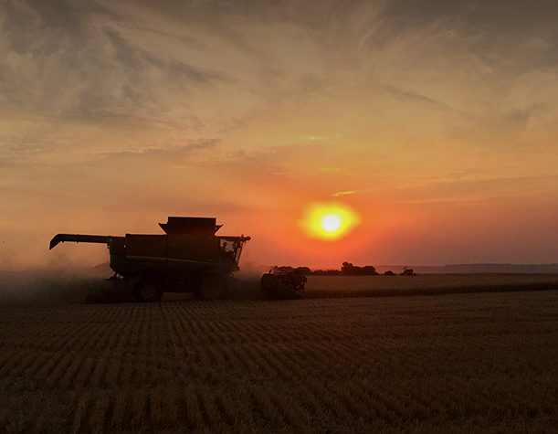 sunset over farmlands
